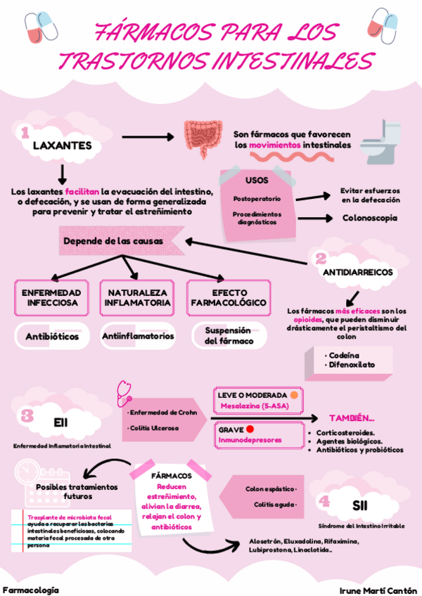Miniatura del documento MartiCantonIruneInfografiaTrastornosIntestinales.pdf