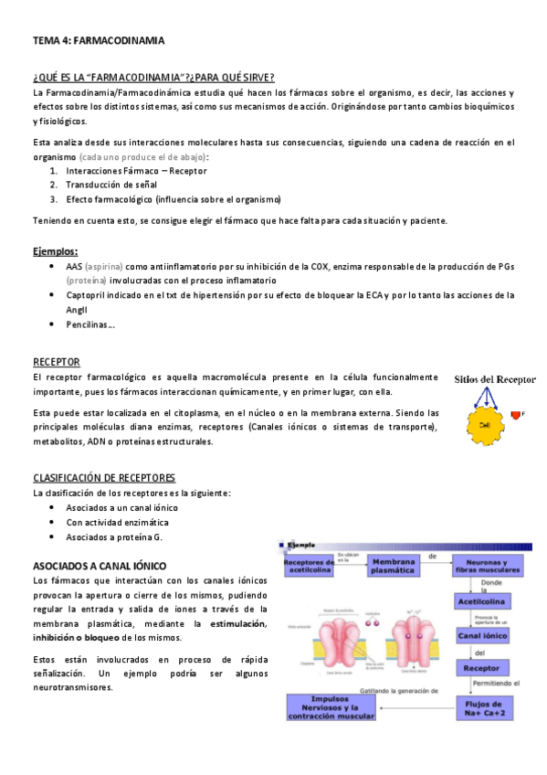Miniatura del documento TEMA-4.pdf