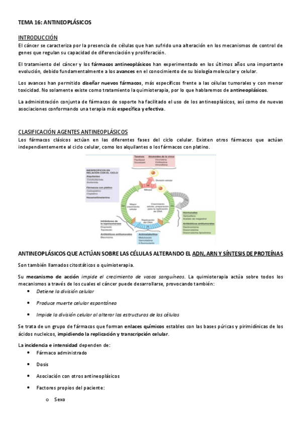 Miniatura del documento TEMA-16.pdf