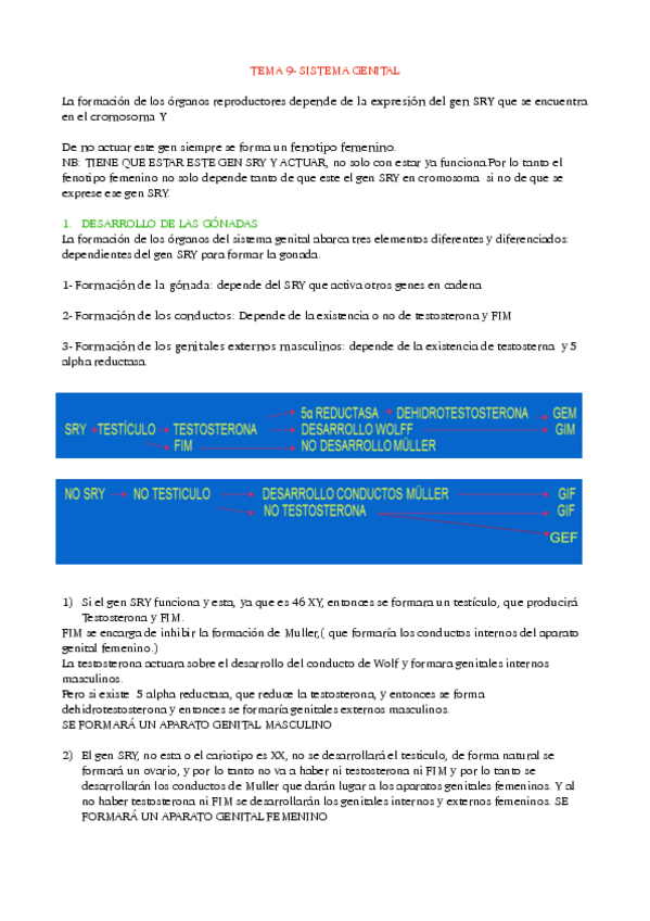 Miniatura del documento SISTEMA-GENITAL.pdf
