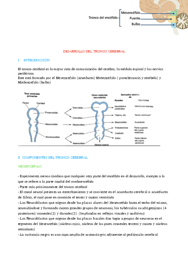 Miniatura del documento TEMA-2-TRONCO-CEREBRAL.pdf