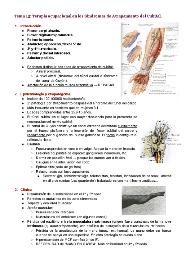Miniatura del documento Tema-15.pdf