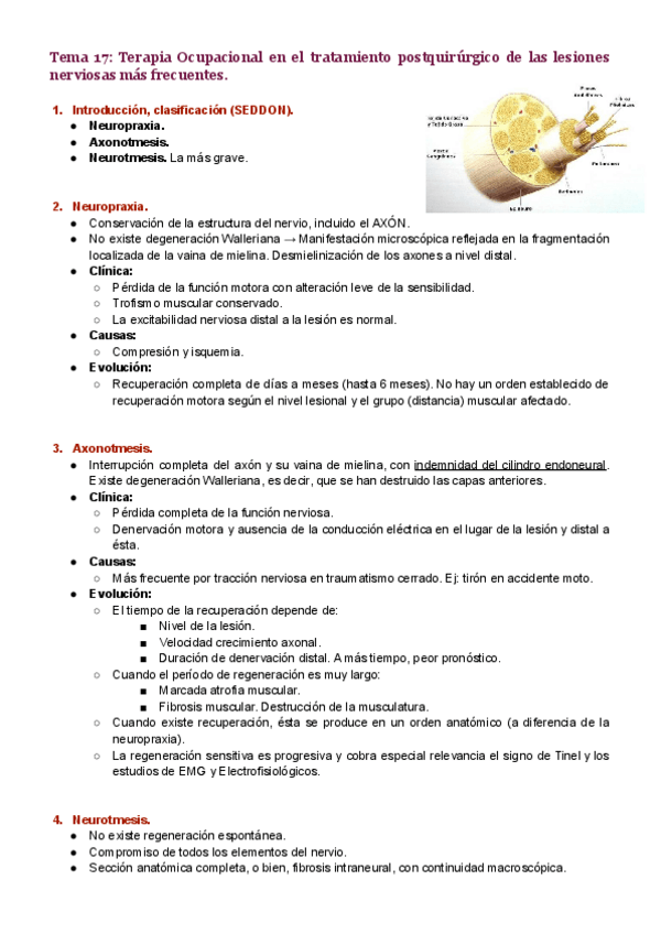 Miniatura del documento Tema-17.pdf