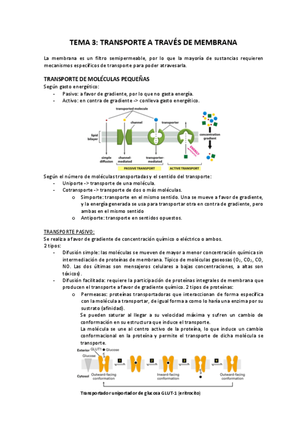 Miniatura del documento tema-3-bc-COMPLETO.pdf