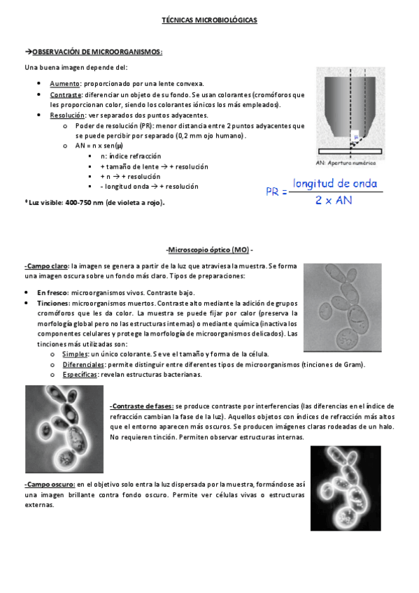 Miniatura del documento Resumen-Tema-3-Tecnicas-Microbiologicas.pdf