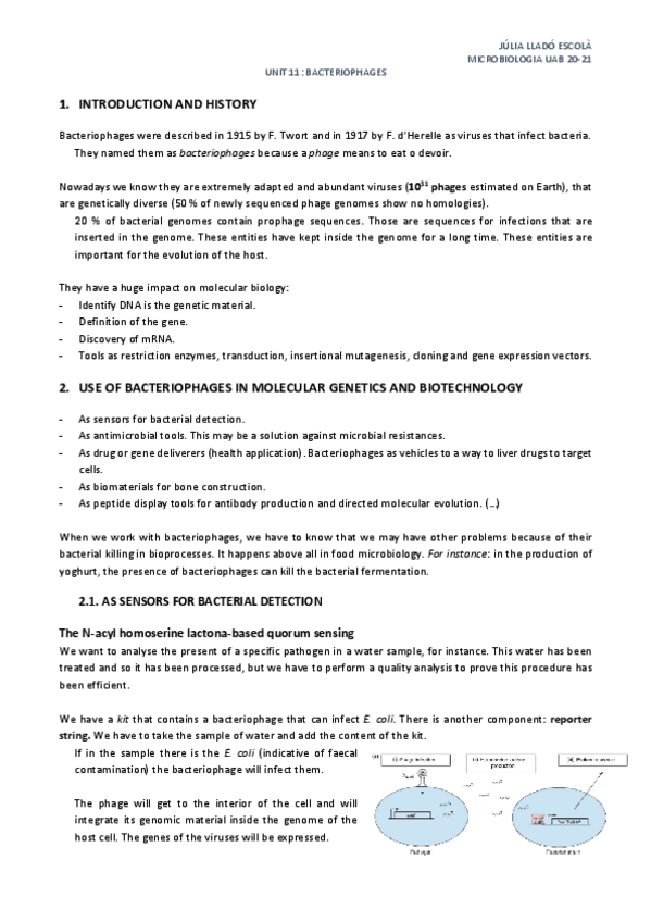 Miniatura del documento Unit-11-Bacteriophages.pdf