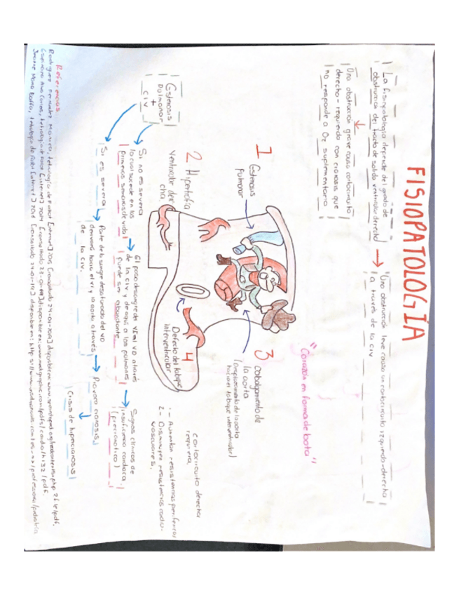 Miniatura del documento Cardiopatias-congenitas-.pdf