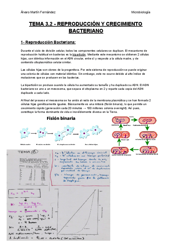 Miniatura del documento TEMA-3-II-Reproduccion-y-Crecimiento-Bacteriano.pdf