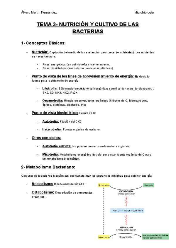 Miniatura del documento TEMA-3-NUTRICION-Y-CULTIVO-DE-LAS-BACTERIAS.pdf