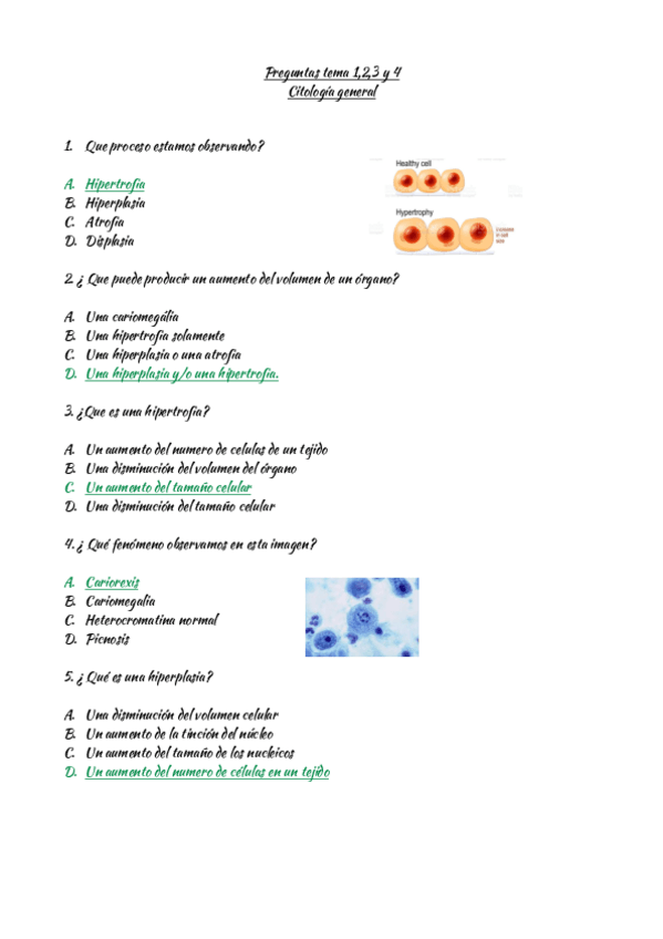Miniatura del documento Preguntas-General-tema-1.pdf