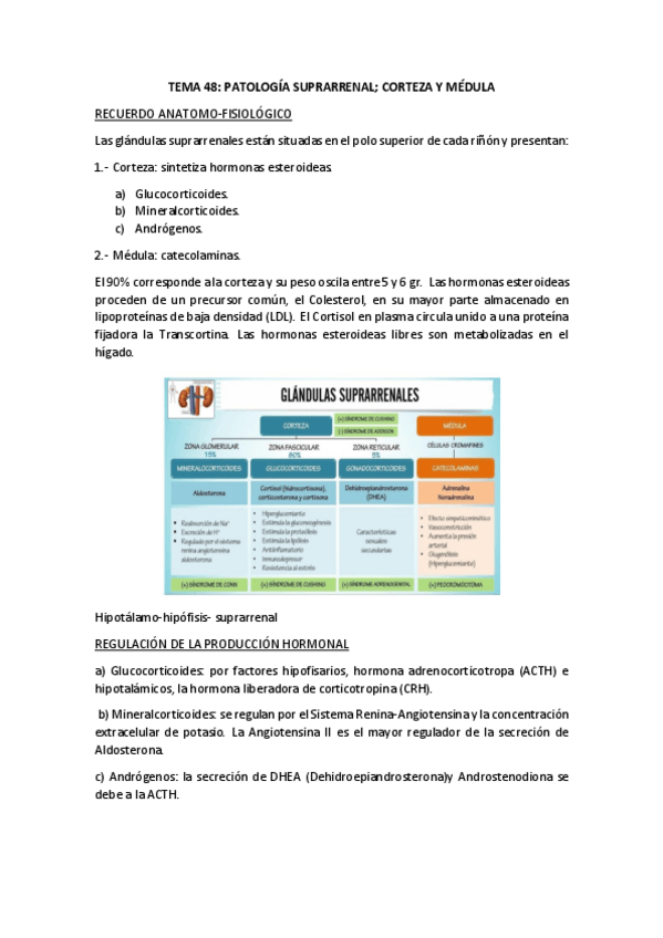 Miniatura del documento tema-48-renal.pdf