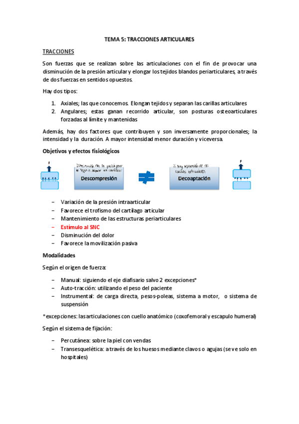 Miniatura del documento TEMA-5-CINESI.pdf