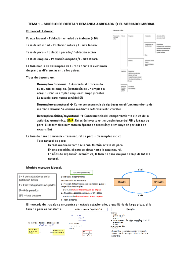 Miniatura del documento TEMA-1-apuntes.pdf