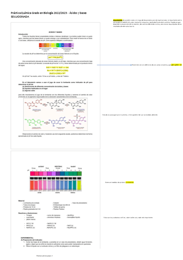 Miniatura del documento Practica-Quimica-Grado-en-Biologia-20222023-Acidos-y-bases-SOLUCIONADA.pdf