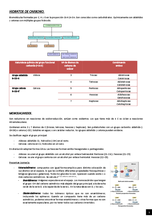 Miniatura del documento HIDRATOS-DE-CARBONO.pdf