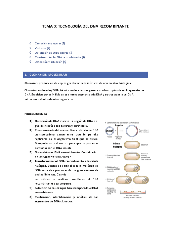 Miniatura del documento tema-3-IG-pdf.pdf
