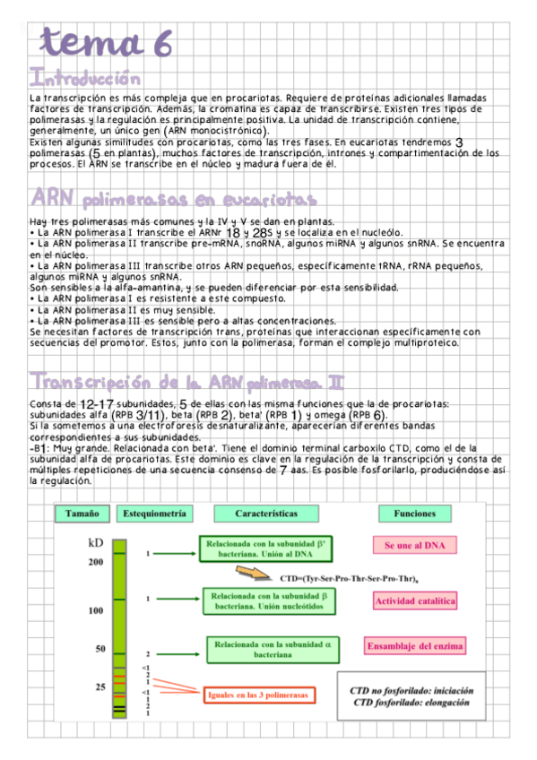 Miniatura del documento Tema-6.pdf