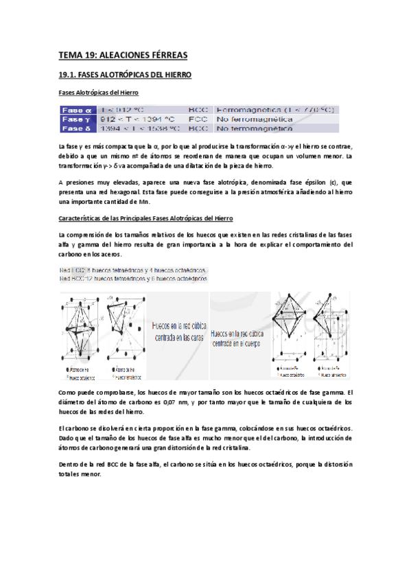 Miniatura del documento TEMA 19.pdf