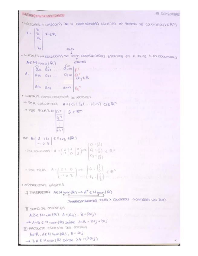 Miniatura del documento MATRICES-VECTORES-Y-SIST-HOMOGENEOS-.pdf