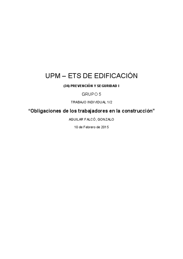 Miniatura del documento trabajo-PRL.pdf