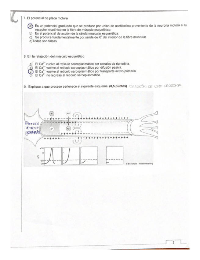 Miniatura del documento examen-fisio-I-2.pdf