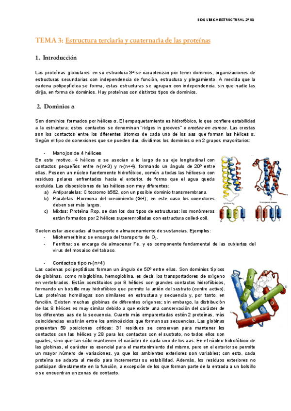 Miniatura del documento TEMA-3-Estructural.pdf