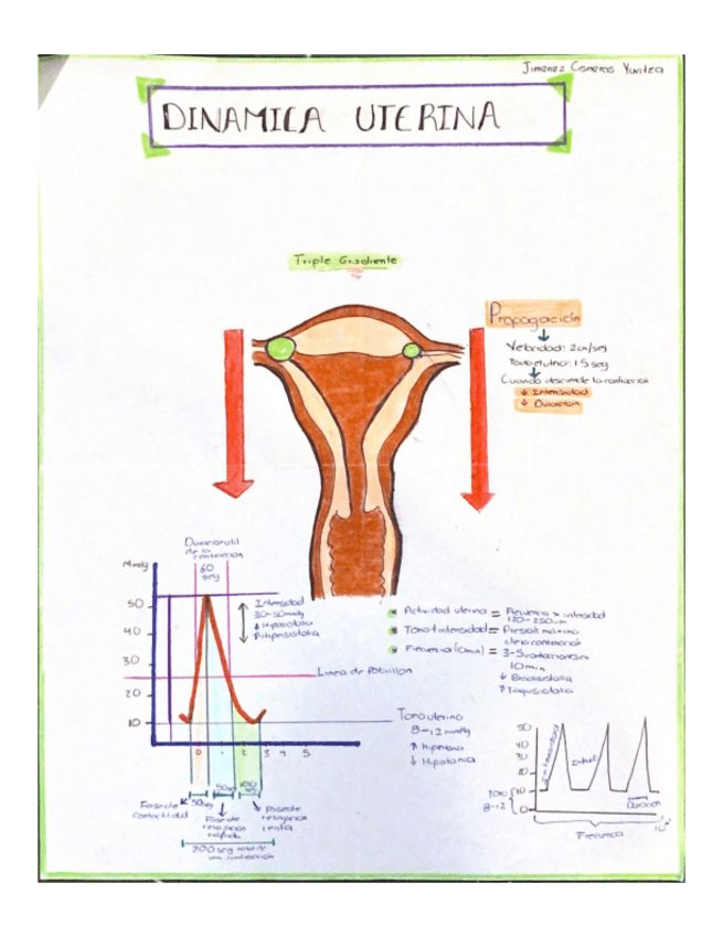 Miniatura del documento DINAMICA-UTERINA.pdf