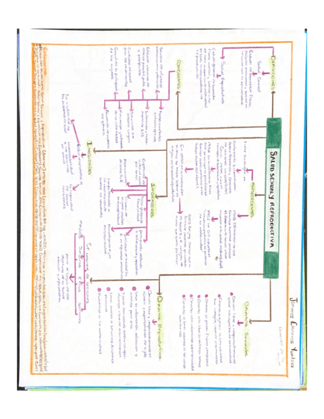 Miniatura del documento Salud-sexual-y-reproductiva-.pdf