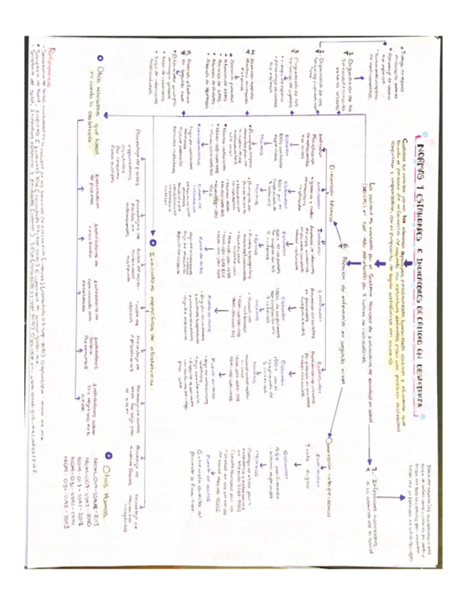 Miniatura del documento Normas-y-estandares-de-calidad-en-obstetricia-.pdf
