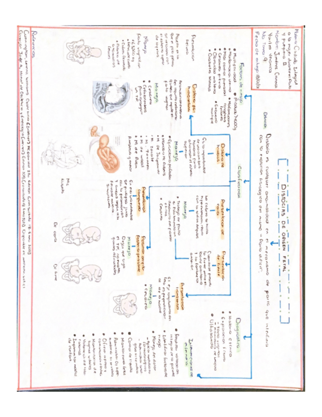 Miniatura del documento Distocias.pdf