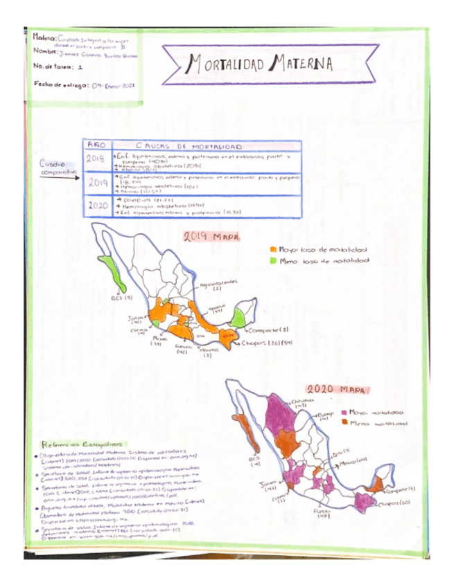Miniatura del documento MORTALIDAD-MATERNA.pdf