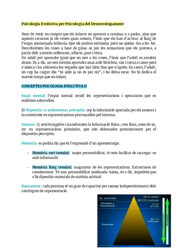 Miniatura del documento Psicologia-Evolutiva-II-infancia.pdf