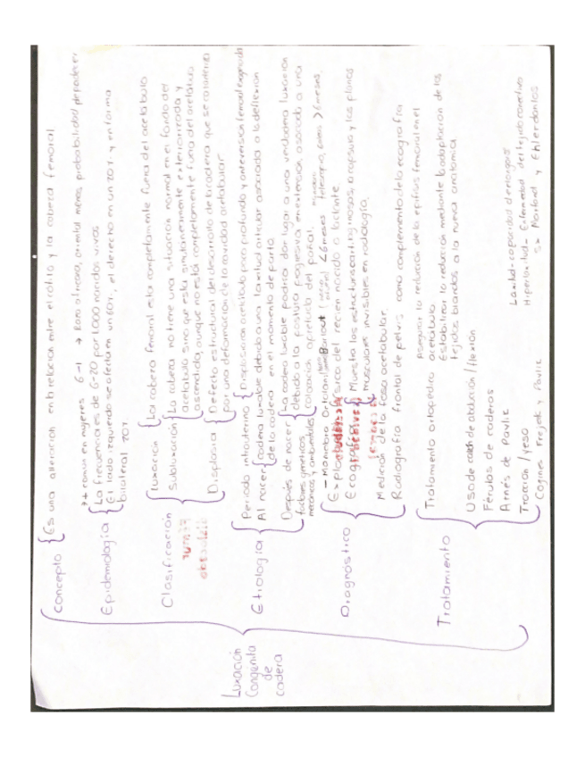 Miniatura del documento Luxacion-congenita-de-caderas-.pdf