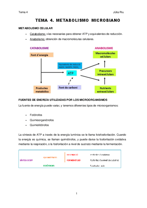 Miniatura del documento tema-4-McI.pdf