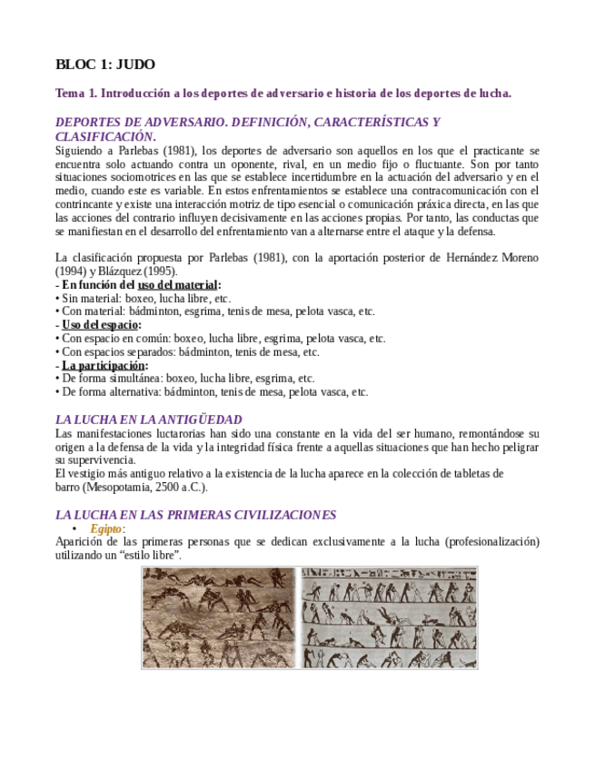 Miniatura del documento Tema1Judo.pdf