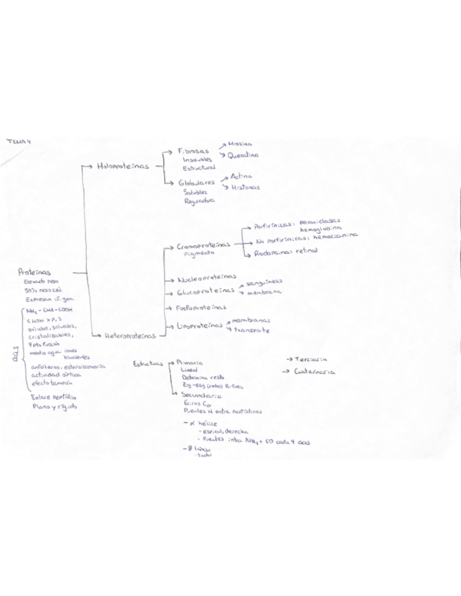 Miniatura del documento 4A.pdf