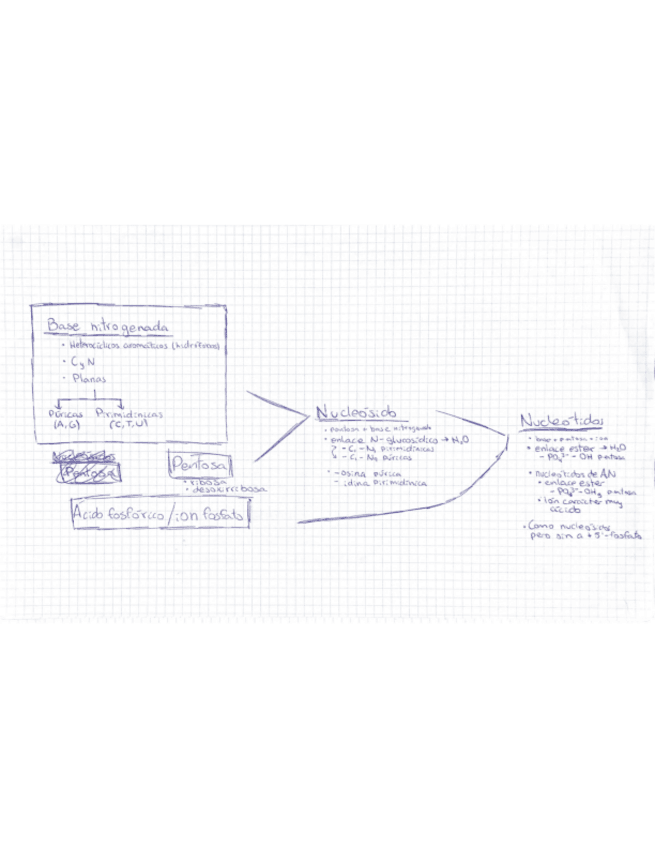 Miniatura del documento 5A.pdf