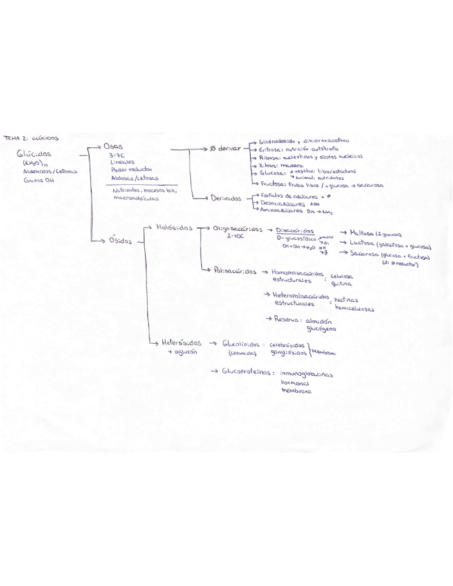 Miniatura del documento 2A.pdf
