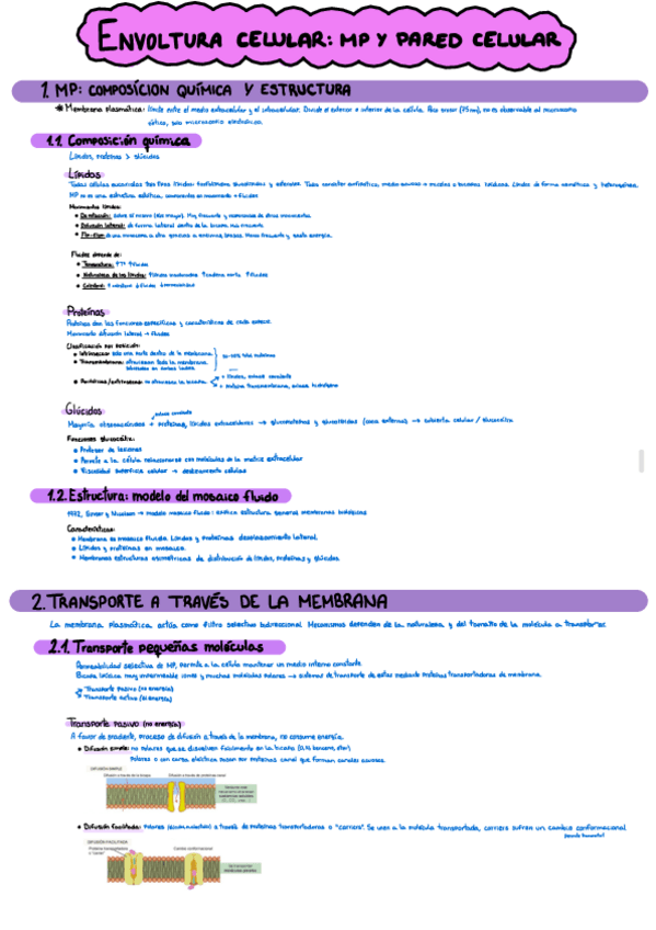 Miniatura del documento 7A.pdf