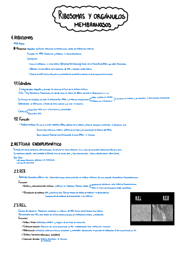 Miniatura del documento 8A.pdf