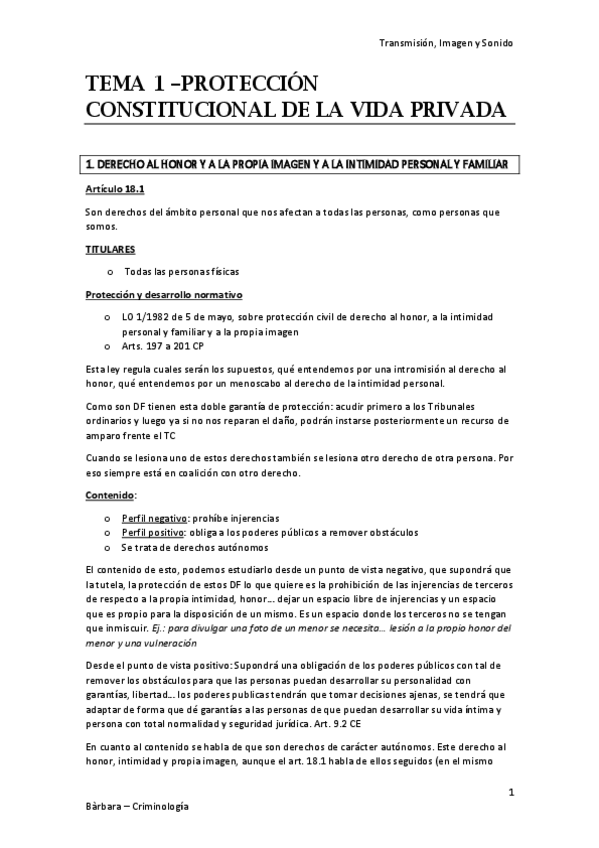 Miniatura del documento TIS PARTE JURÍDICA COMPLETA.pdf