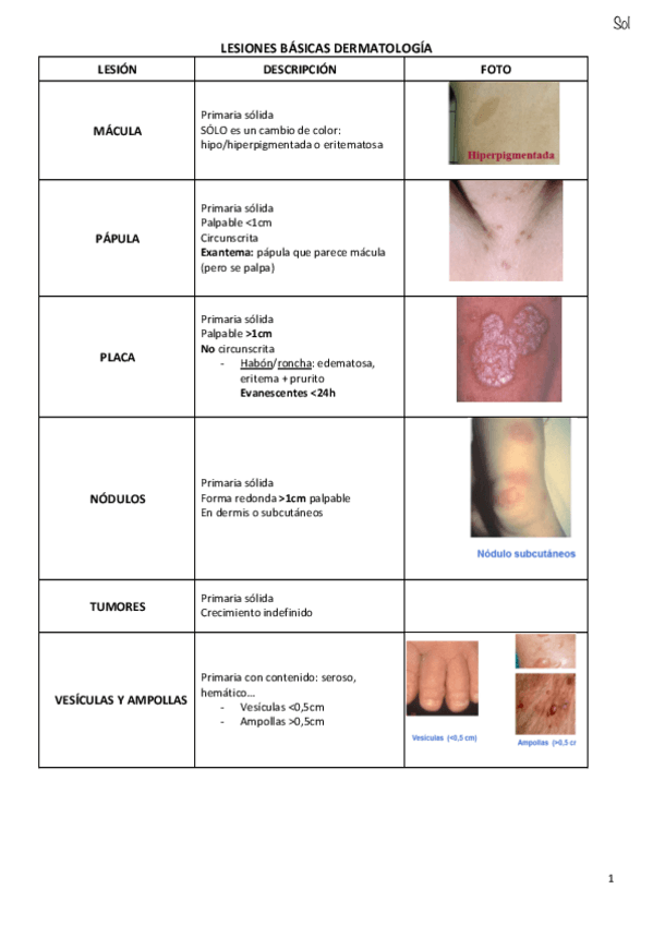 Miniatura del documento 1.pdf