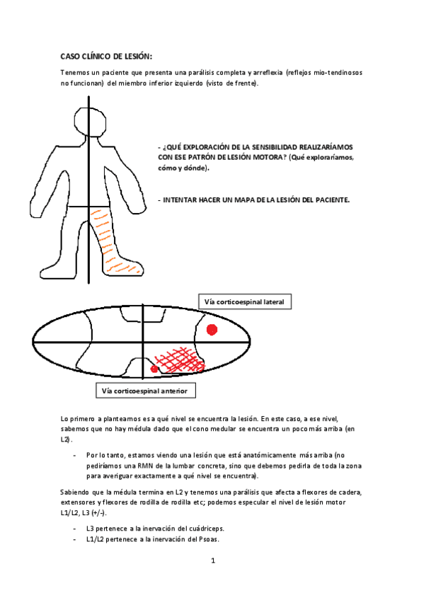 Miniatura del documento 2o-Parte-Anatomia-II.pdf