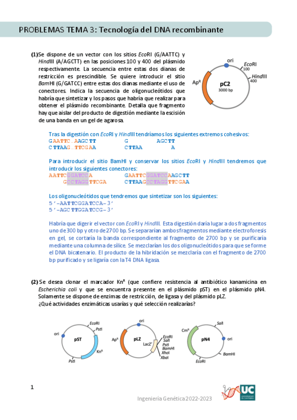 Miniatura del documento IG2203-Problemas-y-soluciones.pdf