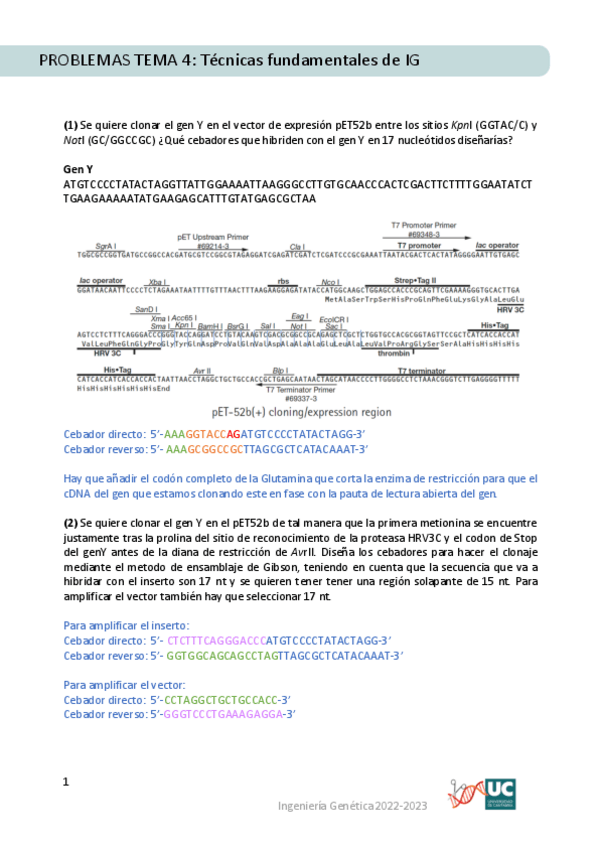 Miniatura del documento IG2204-Problemas-y-soluciones.pdf