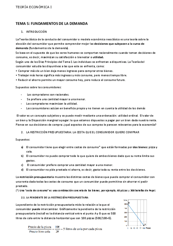 Miniatura del documento TEMA-5.pdf