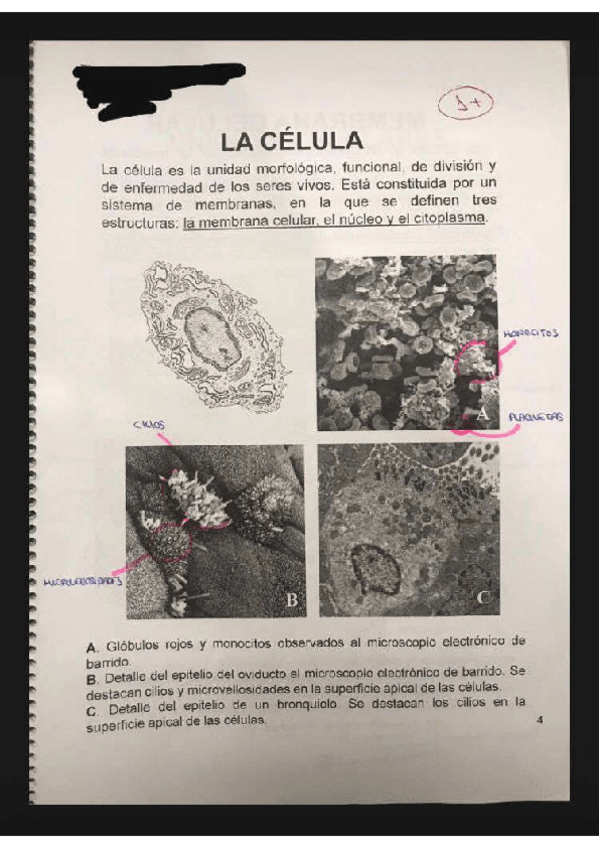 Miniatura del documento 1C.pdf