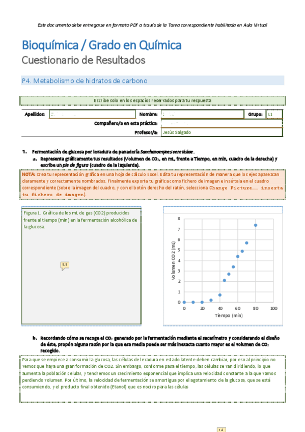 Miniatura del documento P4.pdf