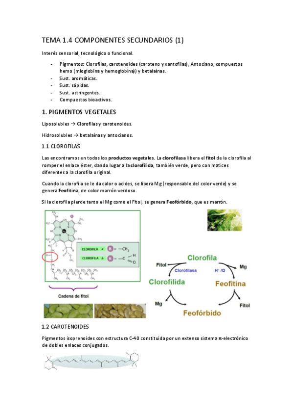 Miniatura del documento TEMA-1.4-5 Comp 2arios y sust aromáticas