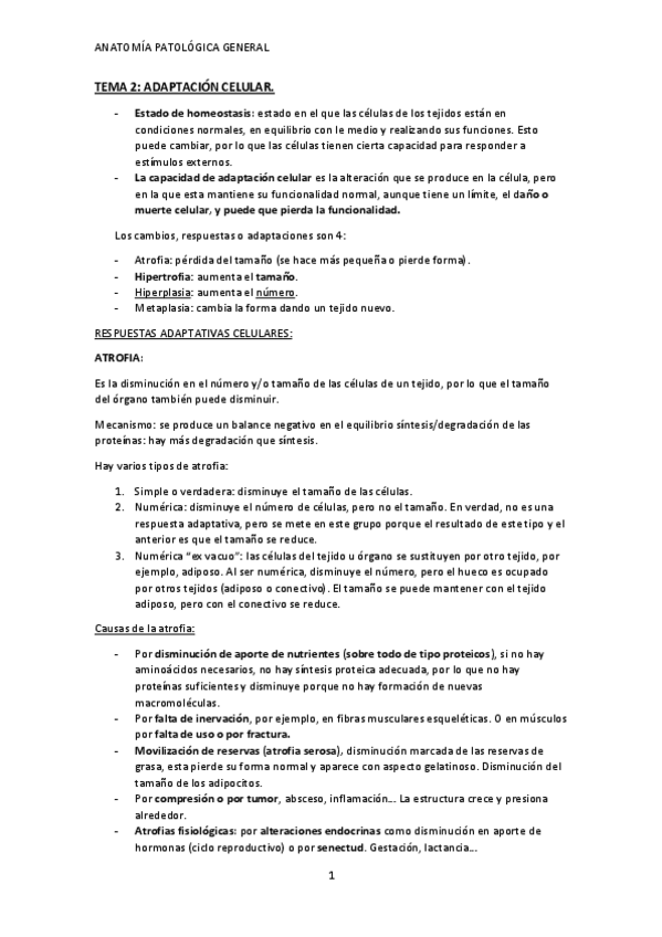 Miniatura del documento APG-teoria.pdf
